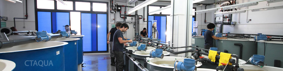 INSTALACIONES CTAQUA