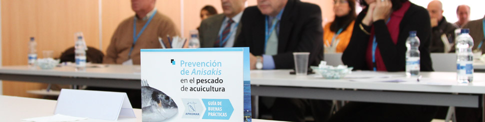 servicios transversales
