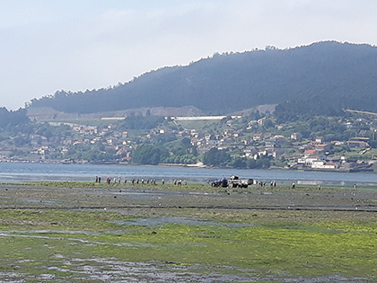 Galicia